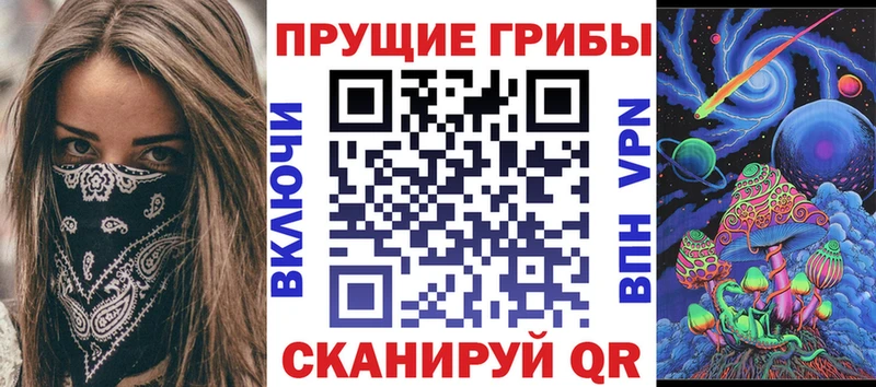 Галлюциногенные грибы Psilocybine cubensis  Купить  Бородино 